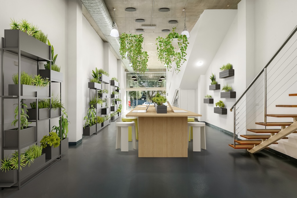 Commercial property for lease in rosebery 2