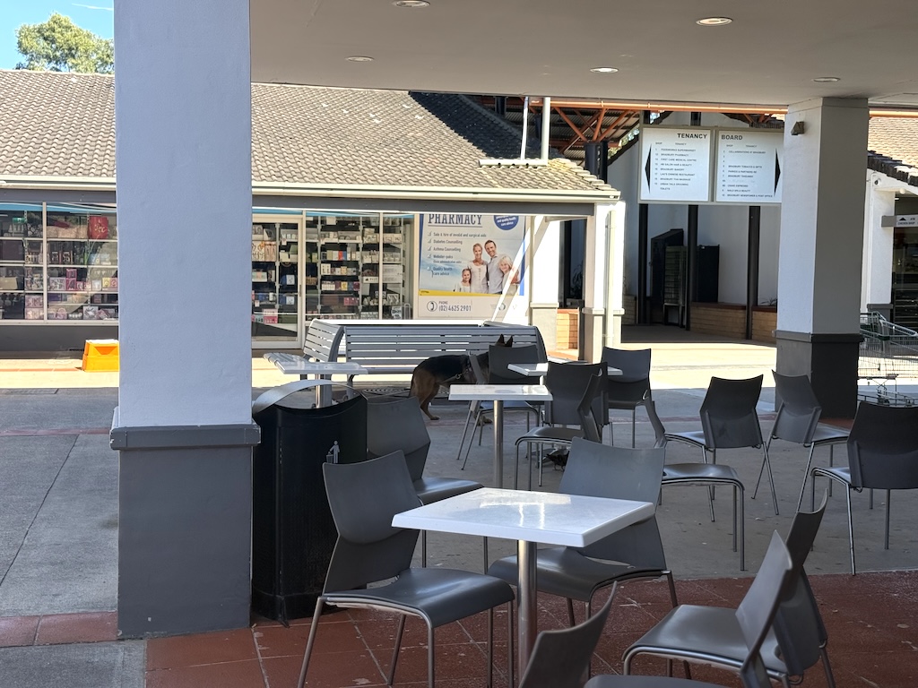 Retail property for lease in bradbury 2